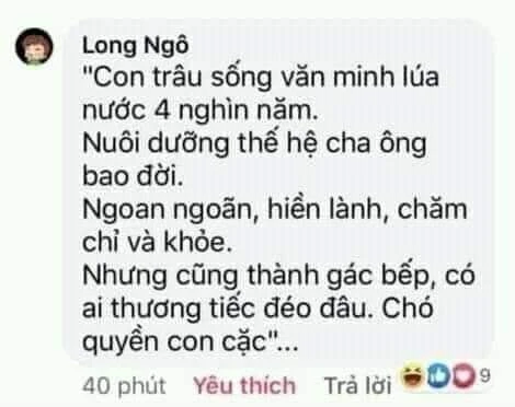 con-trau-song-van-minh-lua-nuoc-4-nghin-nam-cung-thanh-gac-bep.webp