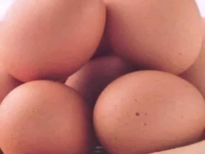 Hình ảnh 5 quả trứng gà tạo thành hình nhạy cảm
