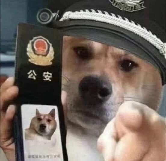 Chó cảnh sát chỉ tay thẳng vào mặt