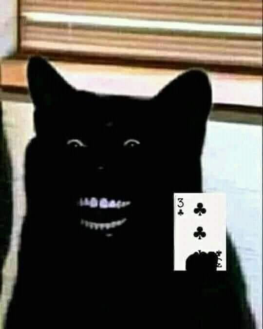 Mèo đen cười nham hiểm cầm lá bài ba chuồn