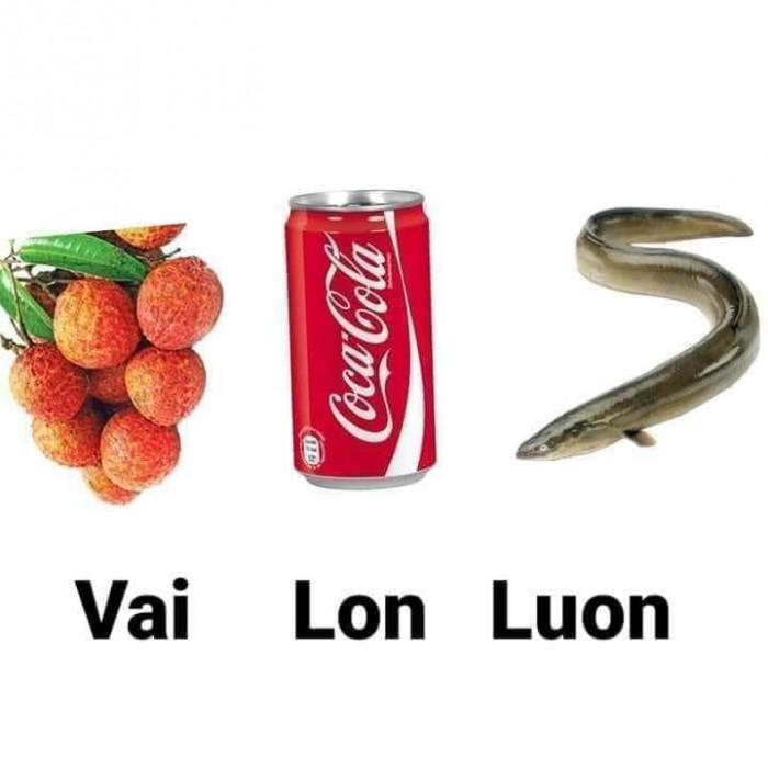 Quả Vải - lon Coca - con luon (Vai Lon Luon)